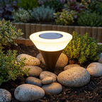 Solar LED Pathway Lights